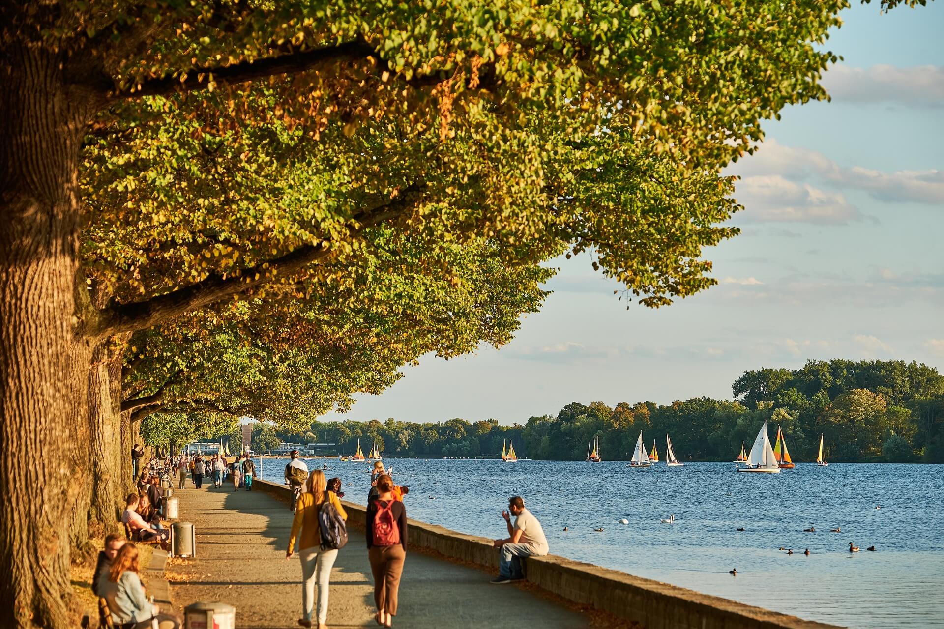 Vermeidung von Ausfällen - Sanierung im Insolvenzfall - 2025 - Online